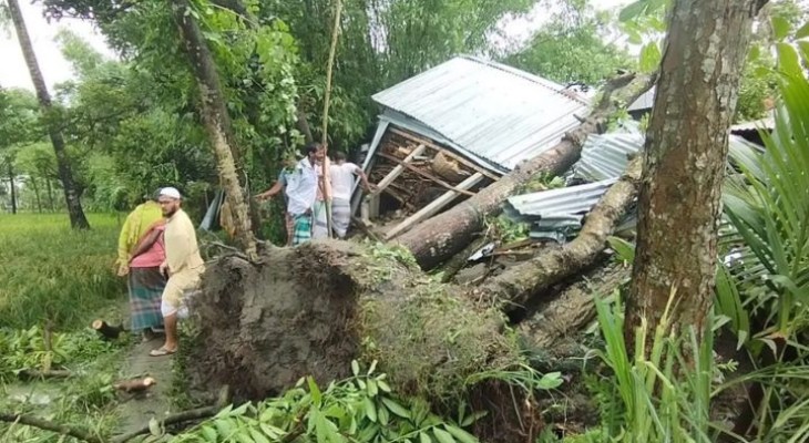 জামালপুরে ঝড়ে ঘরের ওপর গাছ পড়ে মা ও ২ মেয়ের মৃত্যু